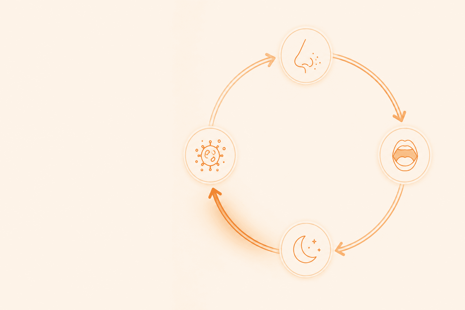 Allergies & Mouth Breathing: The Hidden Airway Loop