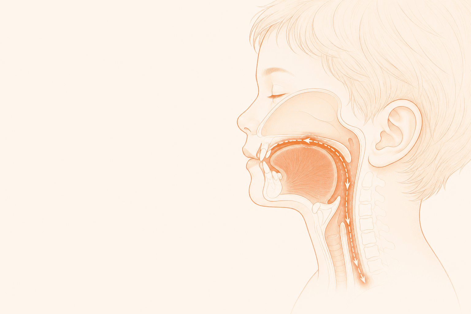 Kids & Tongue Posture: The Parents' Guide