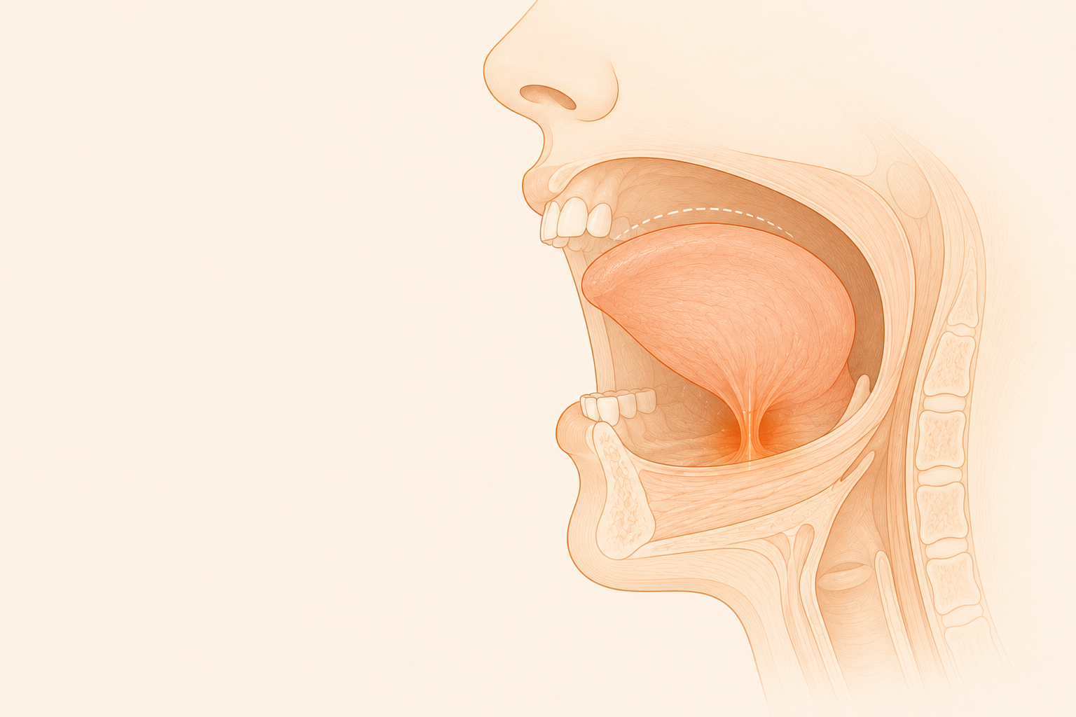 Tongue Tie in Adults: The Diagnosis Nobody Made In Childhood