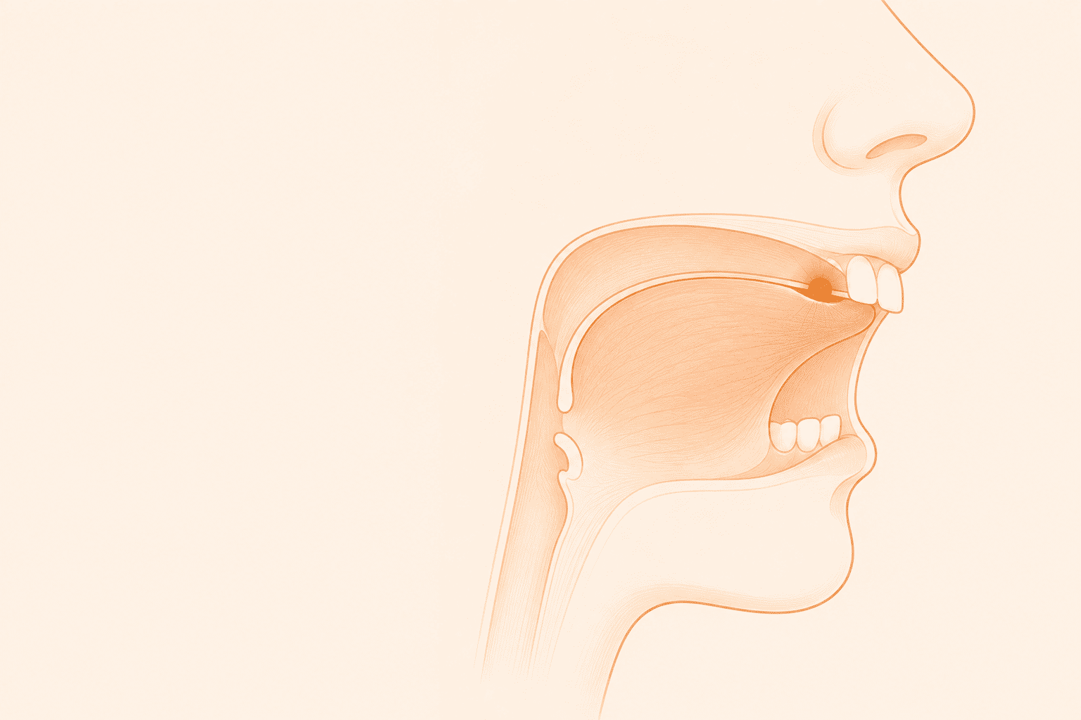 Adult Tongue Posture Beginner's Guide: Where to Start From Zero